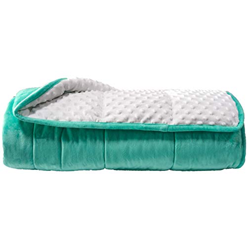 ALANSMA Reversible Weighted Blanket for All Season, Luxury Velvet, Warm and Cool, Adult Kids 20Lb Weighted Blanket, Enjoy Sleeping Anywhere (Green, 60''x80''20lbs)