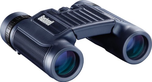 Bushnell H2O Waterproof Compact Roof Prism Binocular, 10 x 25-mm, Black