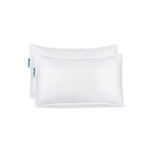 Choice Hotels Luminesse Hypoallergenic 20x28 Inches Luxury Back Pillow for Positioners and Firm Pillow for Side Sleepers, Standard Pillows Queen Size Set of 2, White