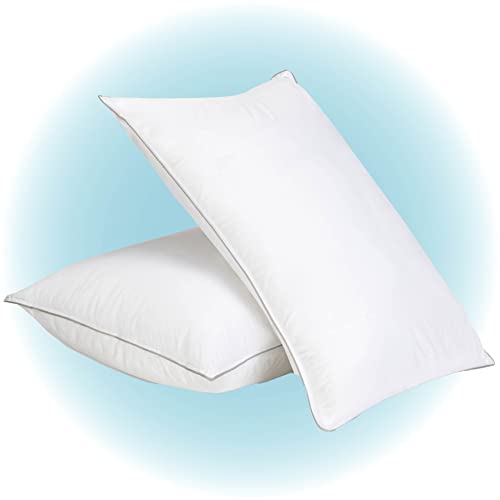 FluffCo Down Alternative Queen Size Pillows Set of 2, Pillow for Sleeping, Bed Pillows, Side Sleeper Pillow, Cooling Pillow, 5 Star Hotel Pillow, Neck Pillow, Microfiber Polyester, Standard Soft