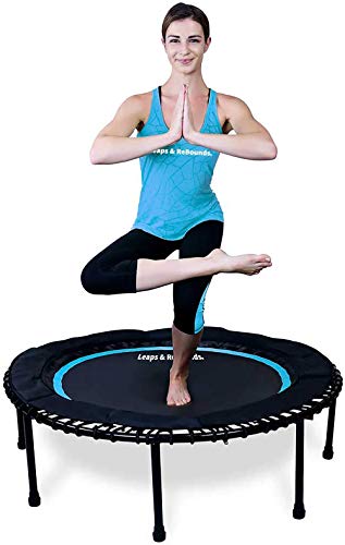 Leaps and ReBounds Trampoline for Adults and Kids - Rebounder with Online Workout Videos - for Outdoor Games, Fitness, and Recreational Activities - Safe, Quiet, Durable Cardio Exercise Equipment