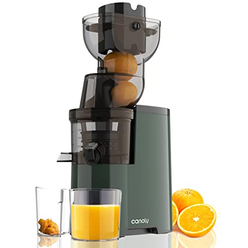 Masticating Juicer, 250W Professional Slow Juicer with 3.5-inch (88mm) Large Feed Chute for Nutrient Fruits and Vegetables, Cold Press Electric Juicer Machines with High Juice Yield, Easy Clean with Brush