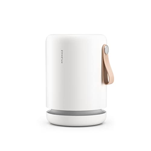 Molekule Air Mini+ FDA-Cleared Medical Air Purifier with Particle Sensor and PECO Technology for Smoke, Allergens, Pollutants, Viruses, Bacteria, and Mold- 250 sq. ft., Compatible with Alexa