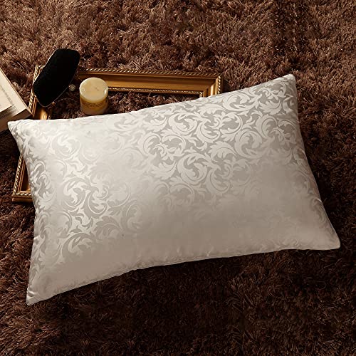 THXSILK Silk Pillow Set, Silk Filled Pillow with Mulberry Silk Pillowcase, Queen Size,1.5kg
