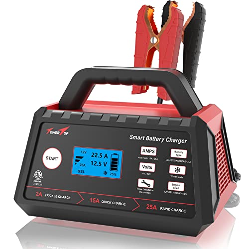 TowerTop 2/15/25 Amp Car Battery Charger, 6V/12V Fully Automatic Smart Battery Maintainer with Engine Start, Auto Desulfator, Battery Repair, Winter Mode, for All Lead-Acid and LiFePO4 Batteries