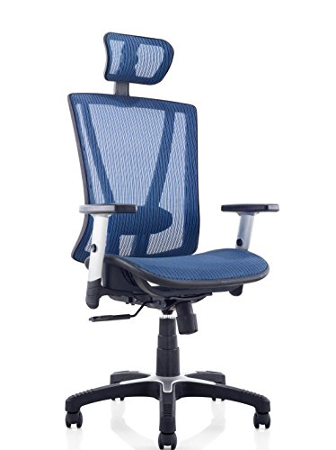 Ergomax Ergonomic Home-Office-Desk-Chairs, 53 Inch Max Height, Blue