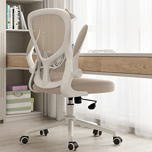 Hbada Ergonomic Office Chair Work Desk Chair Computer Breathable Mesh Chair with Adjustable Lumbar Support and Flip Up Arms, Gray