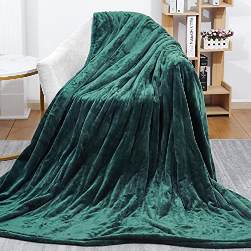 Homde Twin Size Heated Blanket 62 in x 84 in Electric Throw Blanket Flannel Electric Blanket with 6 Temperature Settings & 8 Time Settings Fast Heating Overheating Protection Machine Washable (Green)