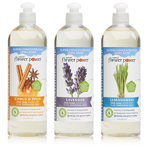 Natural Flower Power - Natural Dish Soaps Variety Pack (Citrus & Spice, Lavender, and Lemongrass), Effectively Cuts Grease and Grime, Non-Toxic and Biodegradable, Sulfate Free - 16 Ounce (Pack of 3)