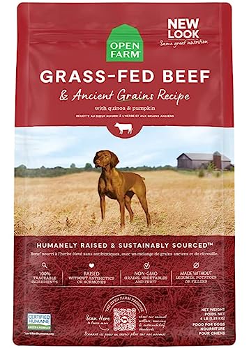 Open Farm Grass-Fed Beef & Ancient Grains Dry Dog Food, 100% Grass-Fed Wagyu Recipe with Wholesome Grains and No Artificial Flavors or Preservatives, 22 lbs