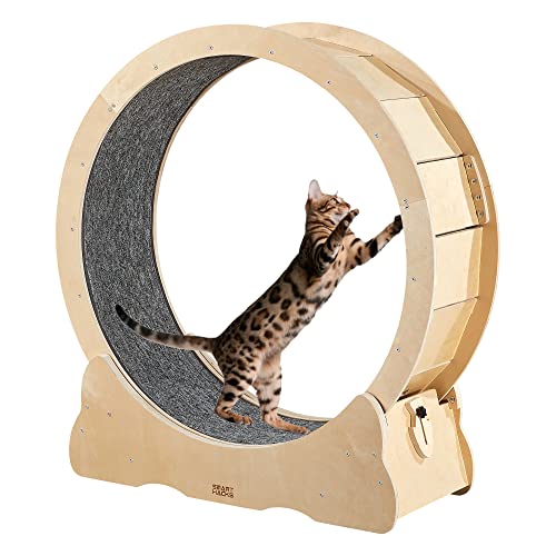 SMART HACKS Cat Wheel, Cat Exercise Wheel, Cat Wheels for Indoor Cats, Cat Treadmill, Cat Running Wheel, Sturdy Quiet 39.4" H for Large Cats (Wooden)