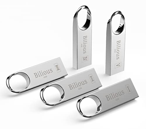 USB Flash Drive, Bilious Portable Keychain Design Thumb Drives Bulk 5 Pack, Metal Style Memory Stick U Disk, Waterproof Jump Pen Drive for Storage and Backup (4GB, 5 Pack)