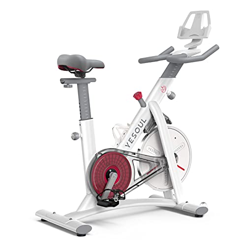 YESOUL S3 Smart Exercise Bike Stationary Bike Spin Bike - Magnetic Resistance exercise bikes for Home Indoor Workout (White)